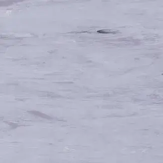 Coloris 2029 - scanmobile