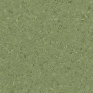 2621 Wild (Mipolam Comet) - Colour scan