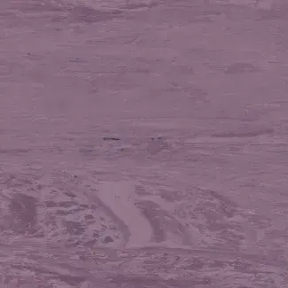 Coloris 2026 - scanmobile