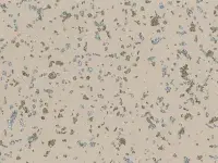 TARALAY-PREMIUM-POESY-2747-BALLADE