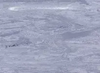 2012-CROCUS007-CI-opti