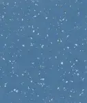 Spacewatch