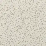 Taralay-impression - 1062 Nido Beige
