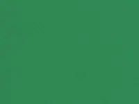 Mint Green - scanmobile