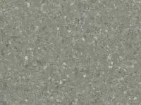 2604 Wolf (Mipolam Comet) - Colour scan