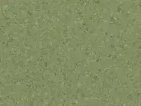 2621 Wild (Mipolam Comet) - Colour scan