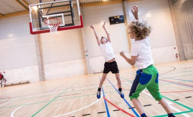 gerflor-segment-sport-bloc-1